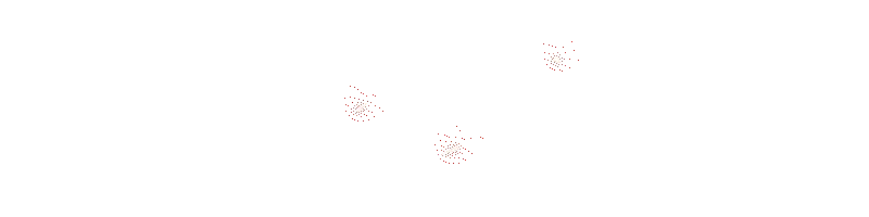 MPO500