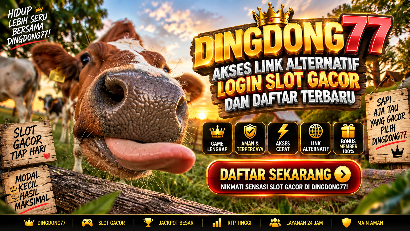 DINGDONG77