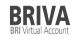 NXPAY DEPOSIT VA BRI
