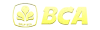 BCA
