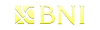 BNI