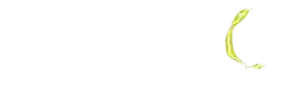 PAKDE4D Logo