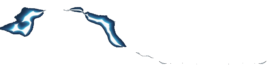 RAJACUAN logo